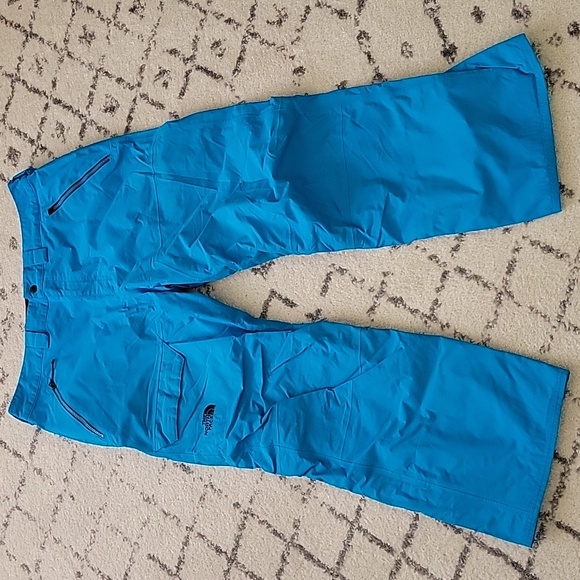 North Face Ski/Snowboard Pants - Large - Picture 1 of 6